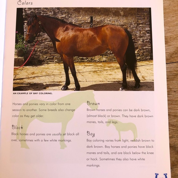 THE HORSE & PONY CARE HANDBOOK by Amanda Lang🏇🏇 - Picture 5 of 12
